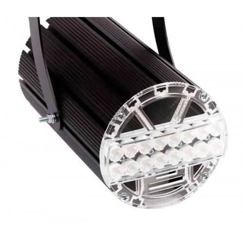 X-RAY Lira 50 (CП-50) 